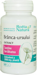 Extract De Bearberry 60 Capsule Rotta Natura Extract De Bearberry 60 Capsule Rotta Natura