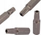 Rockforce Schraubendreher-Bits Torx T27hx25 Mml Öffnung 1/4"