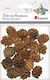 Titanum Pine Cones Mix Sizes Brown 20g