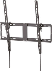 Vivanco Titan TV Wall Mount Screen Sizes Up to 100in 80kg VESA 600x600