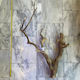 Mojave Wood 2