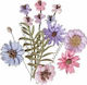 Хартиени Цветя Pinkxlavender 12 Бройки Лилаво Розово