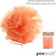 Polsirhurt Papier Orange Pom Pom 25cm Pp04