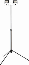 Dedra LED IP65
