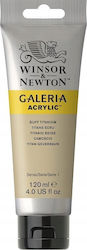 Winsor & Newton Galeria Acrylfarben 120ml Buff ...