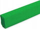 Teka Krepp Papier Grün 50x200 10Stück