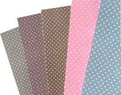 Carton Cu Buline 24x34cm 5 Foi