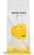 Coffee Plant Espresso Kaffee Gemahlen 1kg