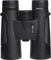 Focus Optics Αναλογικά Κιάλια 8x42mm