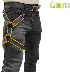 Brutus Fixiergurte