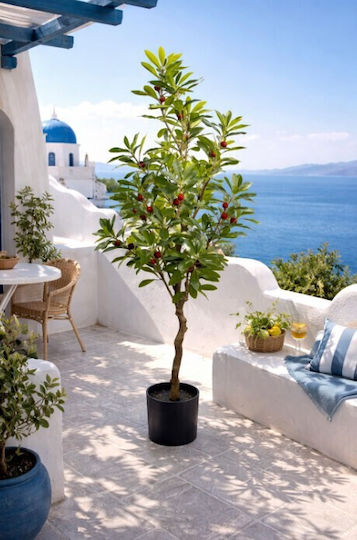 Outdoor Laurel ForAll