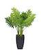 Plantă De Interior În Ghiveci Monstera 74x15x15cm