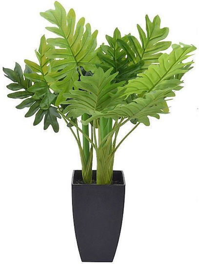 Plantă De Interior În Ghiveci Monstera 74x15x15cm