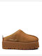Winter Women's Slippers Brown