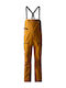 The North Face NF0A82WEHBX Men's Dungarees for Ski & Snowboard Yellow