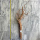 Curl Wood 13