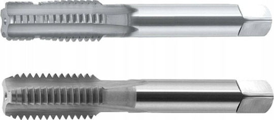 Fanar M16x1.5 Tap Ngmm/2-p Din-2181 6hx Hsse Inox
