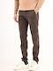 Hose Chino Brown