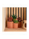 Artificial Plant Pot 22x16x20.4 A-s Wonj 210147 Plastic