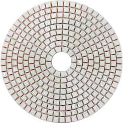 Proline Diamantbeschichtete Schleifscheibe Glänzend Gr.50 125mm Keramische