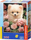 Παιδικό Puzzle Puppy In 300pcs Castorland