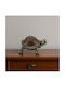 Galifas Decorative Turtle Polyresin 16x11.5x8cm 1pcs