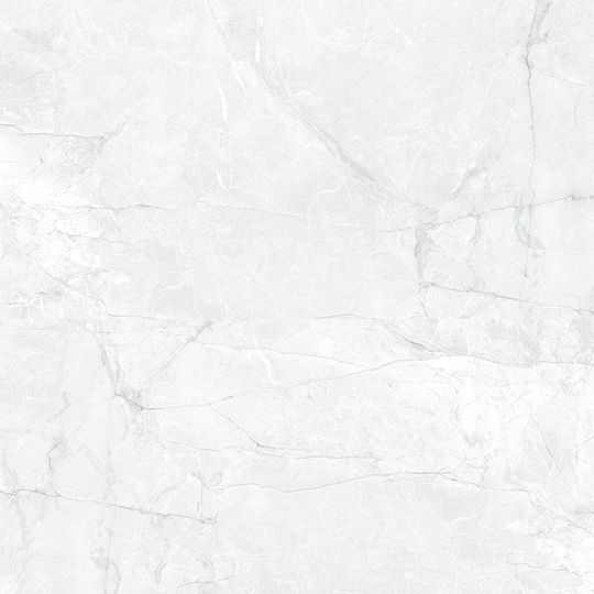 Emotion Ceramics Floor Interior Matte Tile 120x120cm Blanco