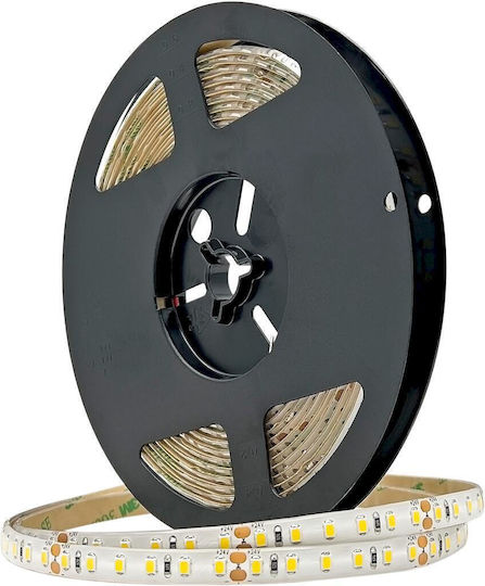 Geyer Waterproof LED Strip 24V Cold White Light 5m