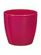 Roto Brillante 16 Planter Plastic Fuchsia 16x16cm.