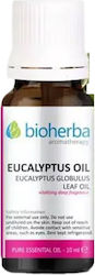 Bioherba Ulei Esențial Eucaliptus 10ml Bioherba Ulei Esențial Eucaliptus 10ml