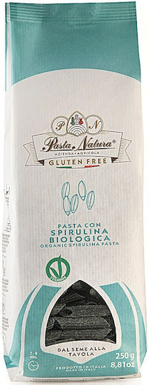 Pasta Natura Penne Vegan Produs Organic Fără Gluten 250gr