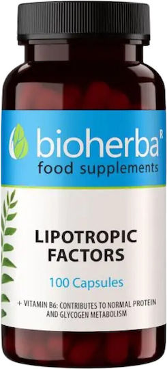 Bioherba Lipotropic Factors 350мг 100 капси
