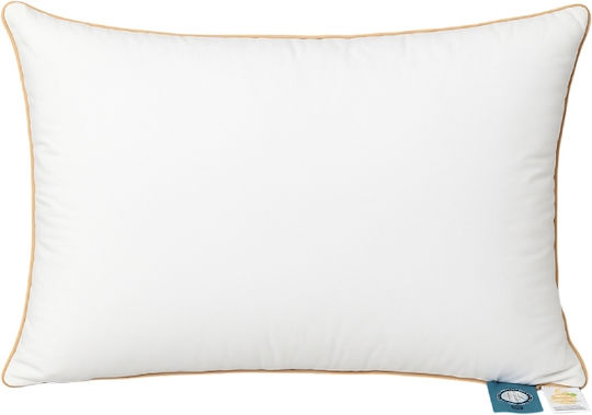 BS Collection Latex 50x70cm