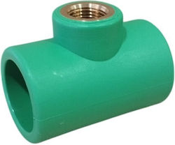 Rohr-T-Stück Ppr Weiblich Φ40x1/2''x40 Aquatherm