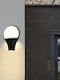 Lightplanet Wandmontierte Außenleuchte LED IP65 6W