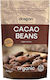 Dragon Superfoods Cocoa Beans 100 Grams