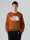 Sweatshirt Brown