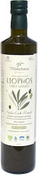 Stamatakos Exzellentes natives Olivenöl Bio-Produkt mit Aroma Fruchtig 750ml 1Stück Stamatakos Exzellentes natives Olivenöl Bio-Produkt mit Aroma Fruchtig 750ml 1Stück
