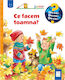 Ce Facem Toamna? - Andrea Erne