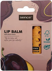 Sence Lippenbalsam 5,5 g Sence Lippenbalsam 5,5 g
