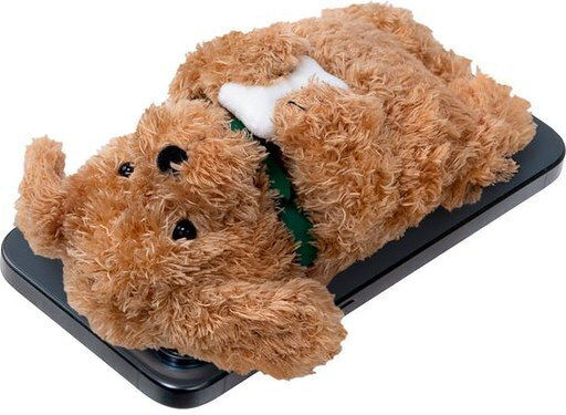 Laut MagSafe Kartenetui Magmoji Ginger Dog