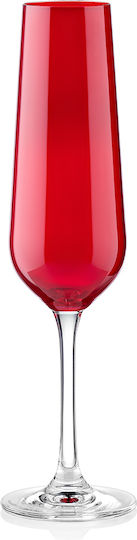 Bohemia Set of Glasses Champagne made of Crystal in Red Color Stemmed 200ml 6pcs