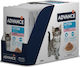 Advance Hrana Pentru Pisici Junior Cats În Pliculeț Cu Curcan Și Carne 12x85gr