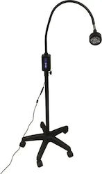 Minston Medical Lamp 17407-04