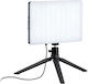 Tracer Traosw47707 LED-Panel 13W mit Lichtstrom 1190lmlm