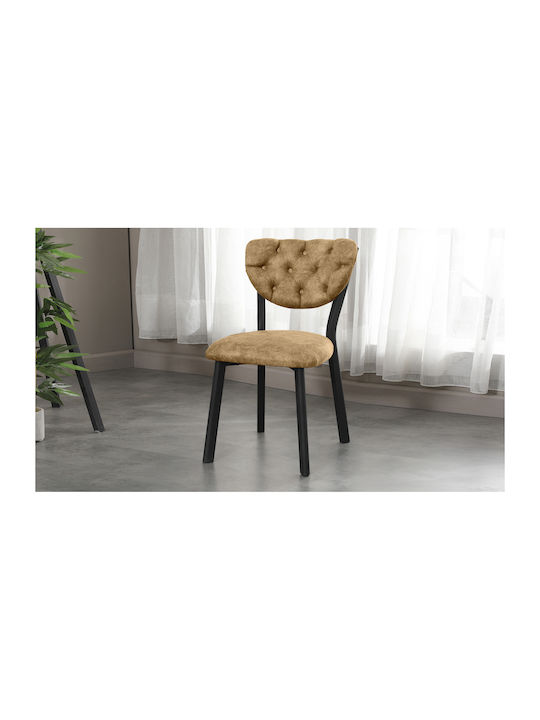 Dining Room Chair Cafe Restaurant & Kitchen Bei...