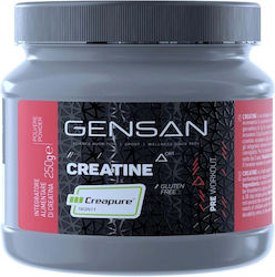 Gensan 250gr