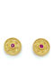 Drandakis Earrings made of Silver Gold Plated with Stones