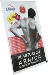 Plasture cu Arnica și Gheara Diavolului 9x14 Cm Plasture cu Arnica și Gheara Diavolului 9x14 Cm