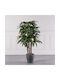 Supergreens Copac Artificial Rapis Excelsa Verde 140 Cm